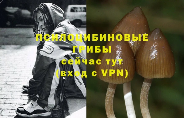 MESCALINE Алзамай