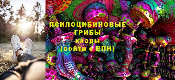 стафф Чита