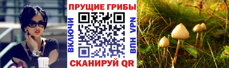 OMG ссылка Апатиты Галлюциногенные грибы мухоморы купить наркотик